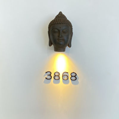 Belichteter Edelstahl 304 Metalladreßzeichen schrauben Berg