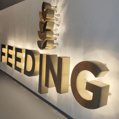 Goldbürsten-Edelstahl-hintergrundbeleuchtete Buchstabe-Zeichen